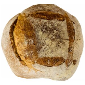 Sour dough Bread Loaf